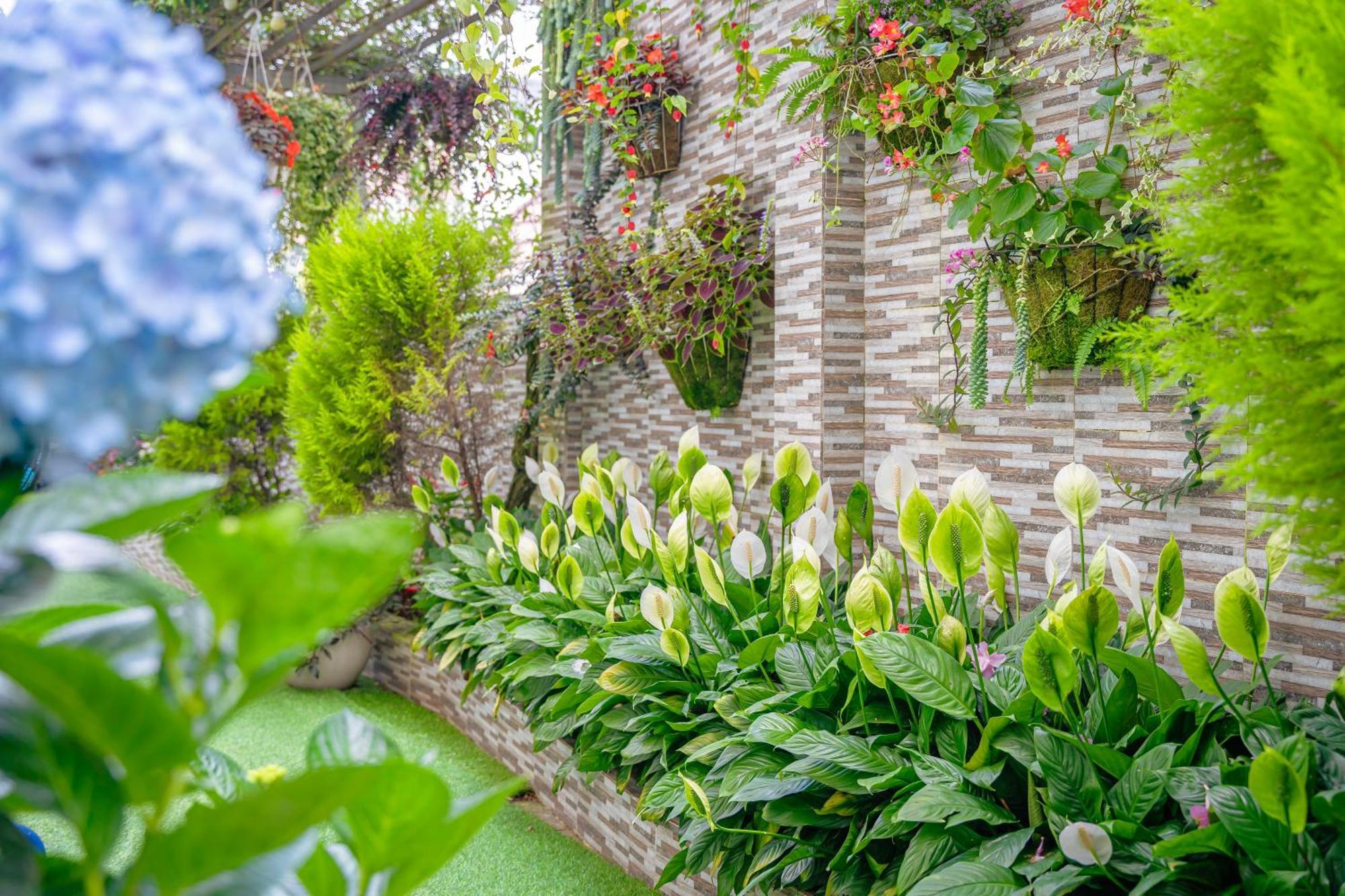 Minh Chien Hotel Đà Lạt Extérieur photo